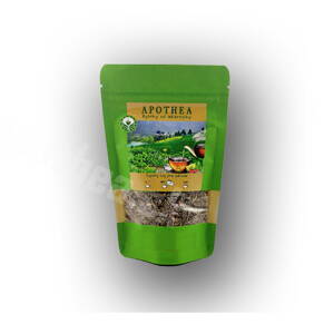 ACTIVE TEA čaj pred športom